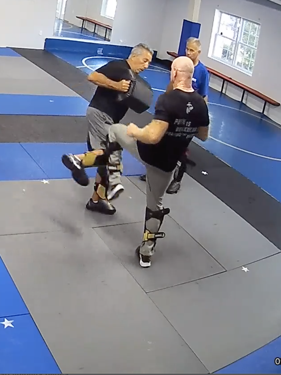Krav Maga combatives striking drill